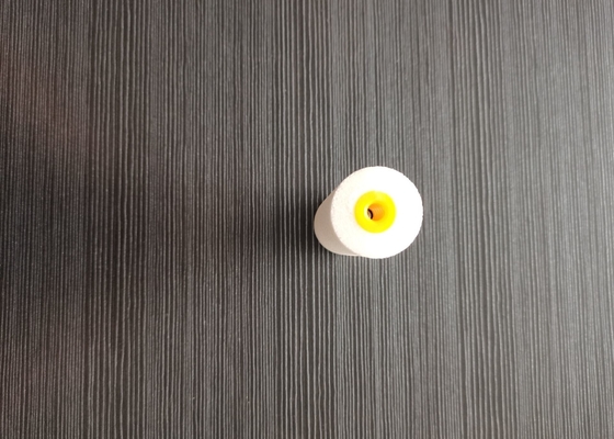 Two parts Epxoy primer Applicator Pads  Paint Roller Brush kit